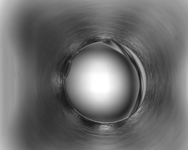 X0000096410176200801311359