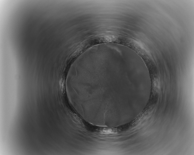 X0000096410177200801311359