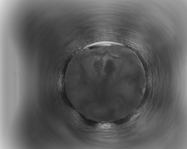 X0000096410181200801311359