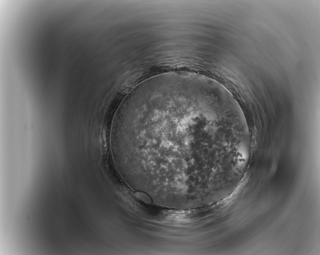 X0000096410182200801311359