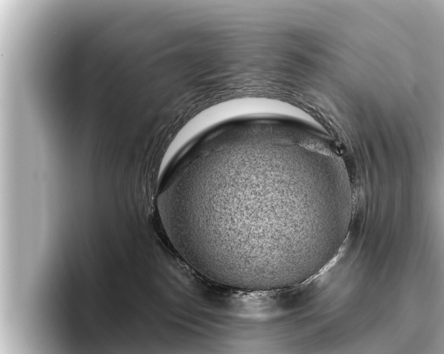 X0000096410186200801311400