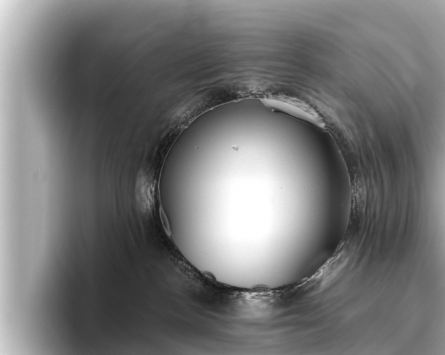 X0000096410188200801311400