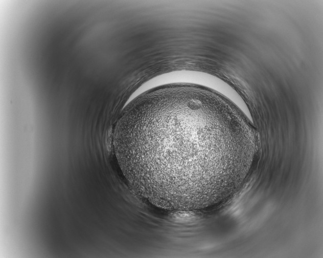 X0000096410189200801311400