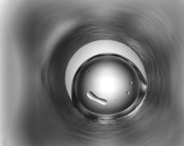 X0000096410190200801311400