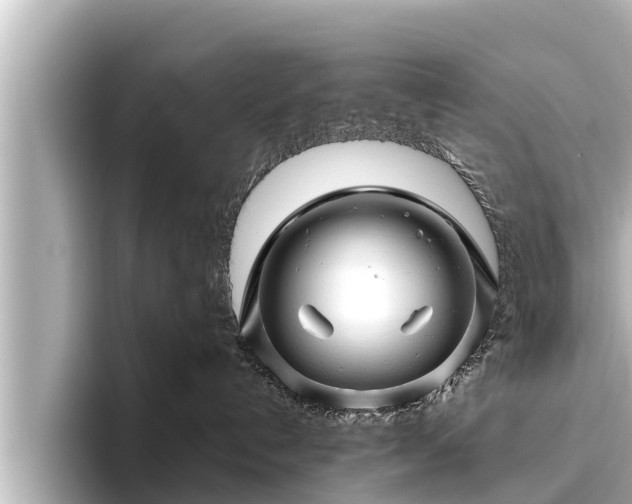X0000096410192200801311400