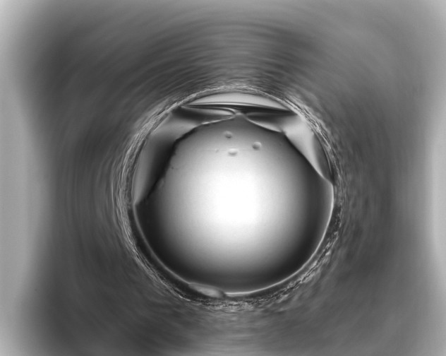 X0000096410193200801311359