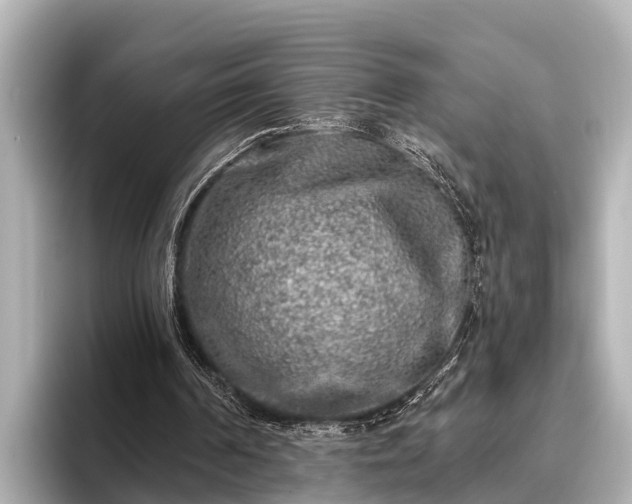 X0000096410194200801311359