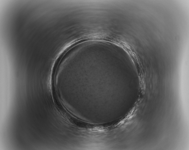 X0000096410196200801311359