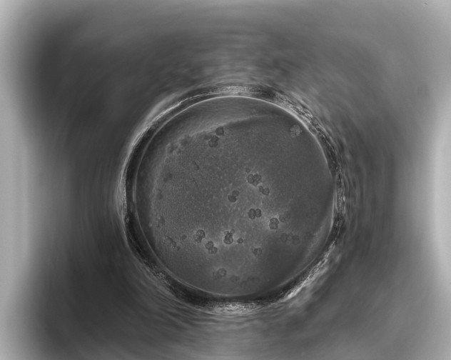 X0000096410198200801311359