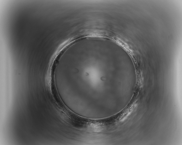 X0000096410199200801311359