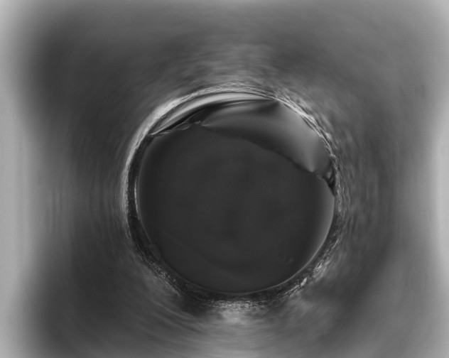 X0000096410200200801311359