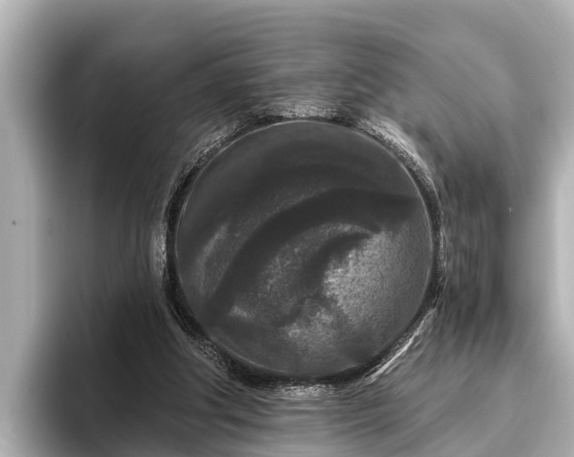 X0000096410202200801311359