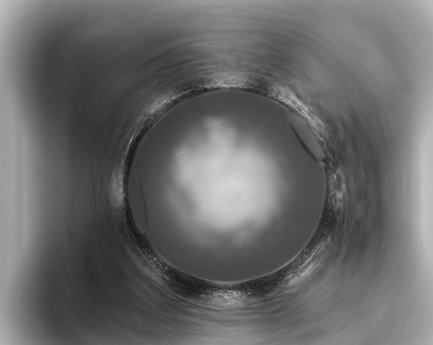 X0000096410203200801311359