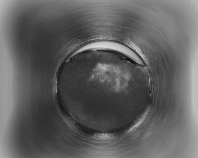 X0000096410205200801311359