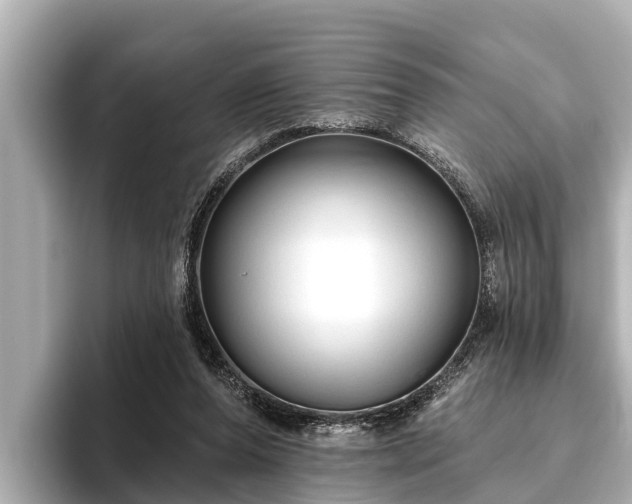 X0000096410208200801311359