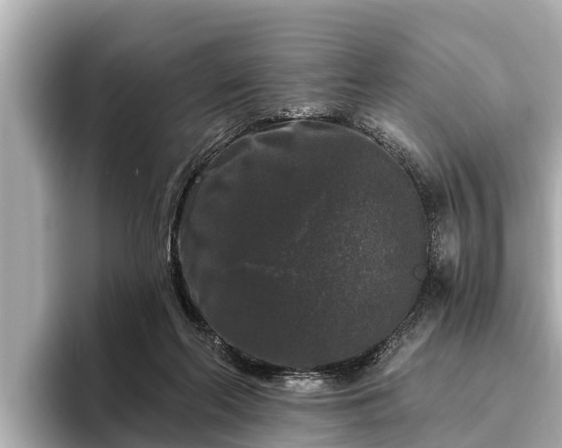 X0000096410214200801311359
