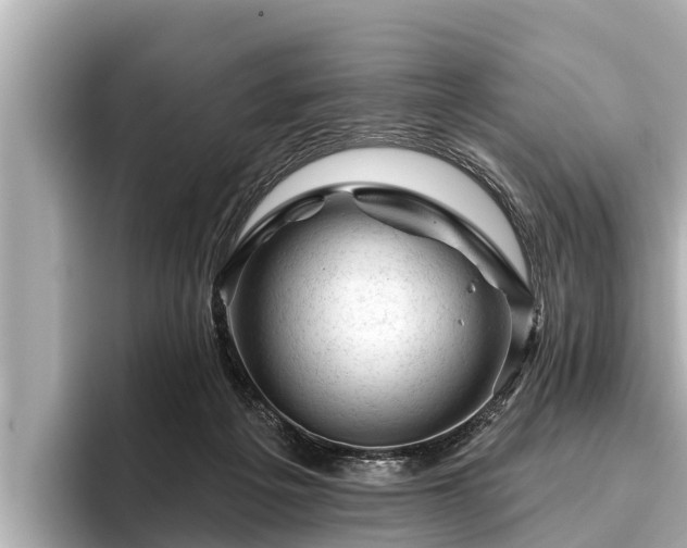 X0000096410217200801311359