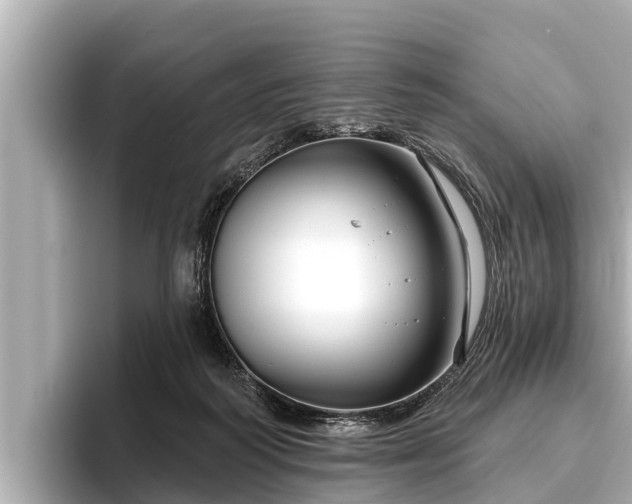 X0000096410218200801311359