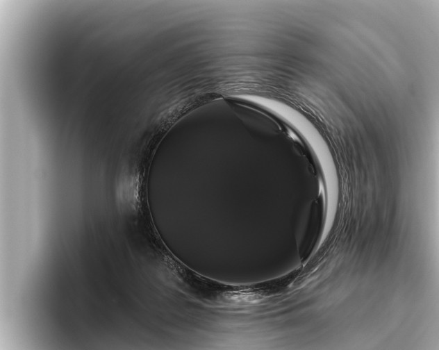 X0000096410219200801311359