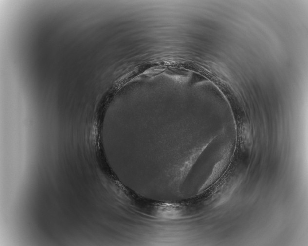 X0000096410222200801311359
