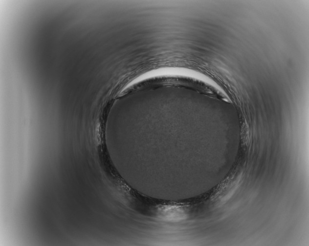X0000096410224200801311359