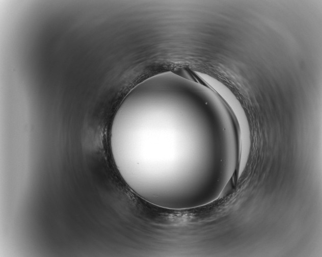 X0000096410225200801311359