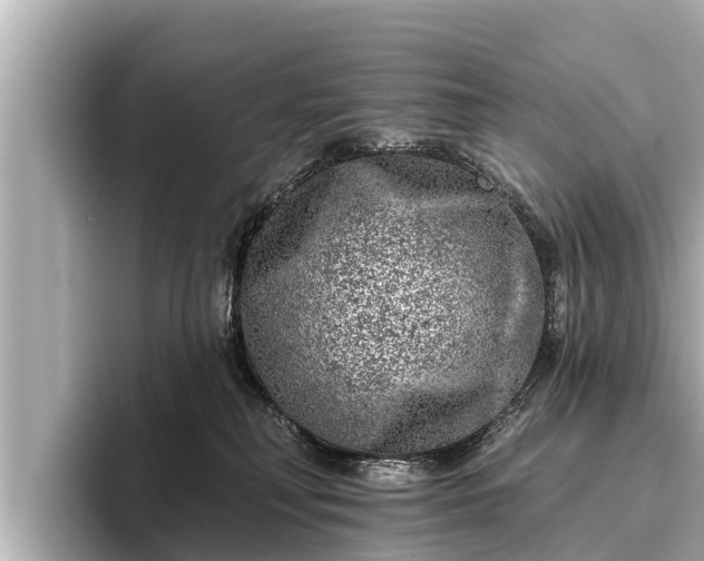 X0000096410230200801311358