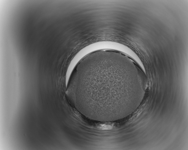 X0000096410232200801311358