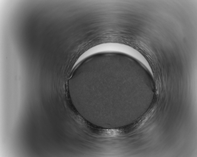 X0000096410233200801311358