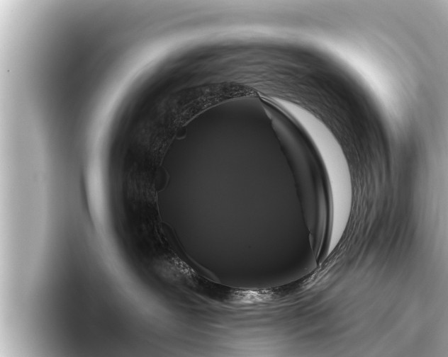 X0000096410239200801311358