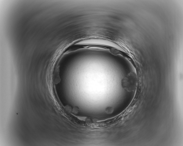 X0000096410241200801311358