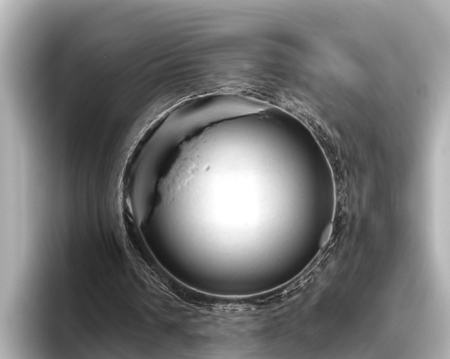 X0000096410242200801311358