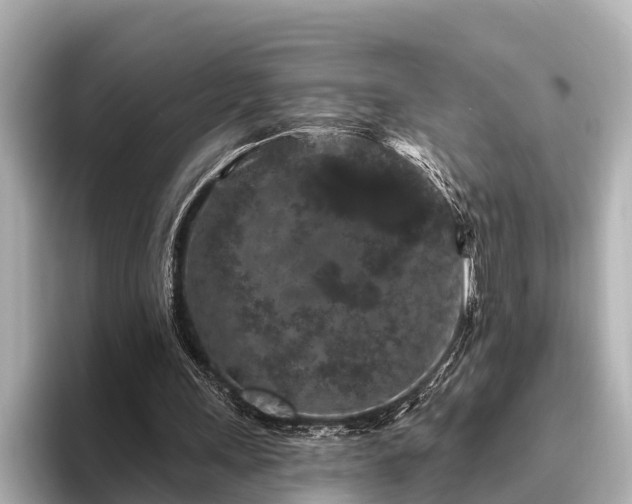 X0000096410243200801311358