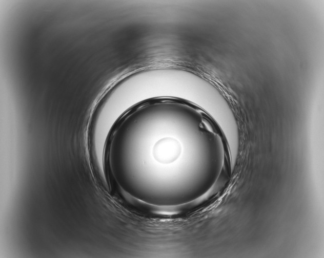 X0000096410244200801311358
