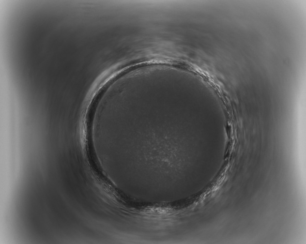 X0000096410247200801311358