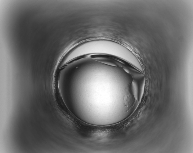 X0000096410248200801311358