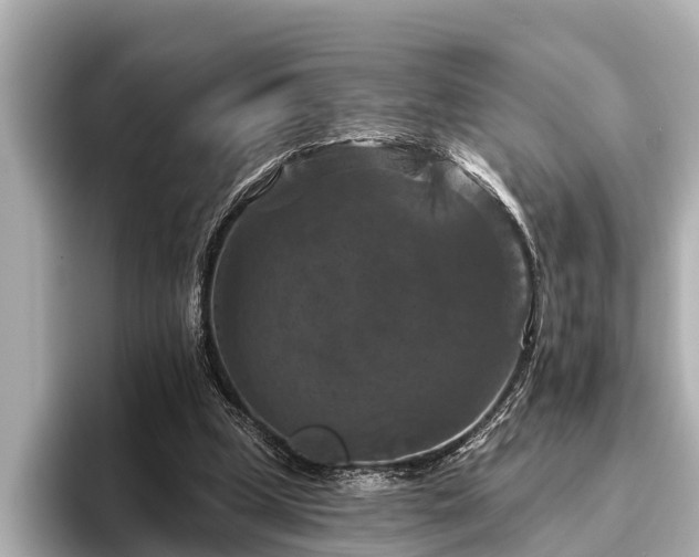 X0000096410249200801311358