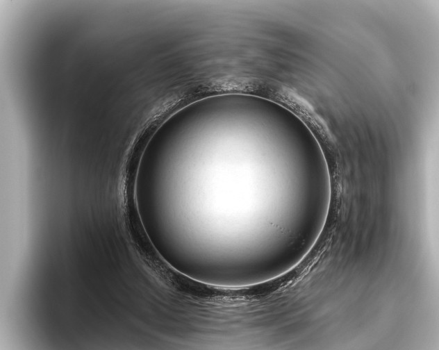 X0000096410250200801311358