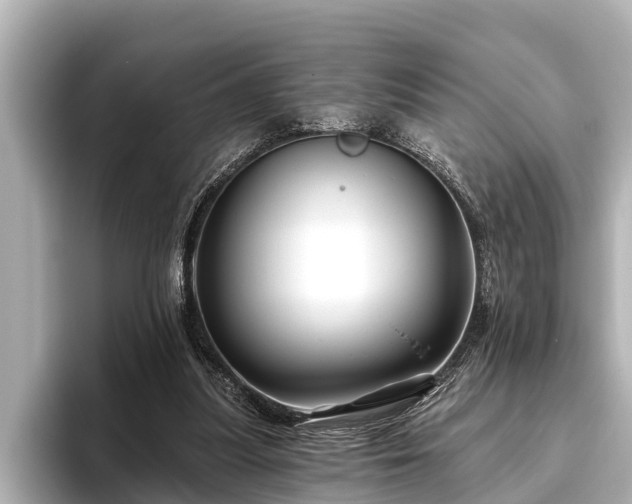 X0000096410251200801311358
