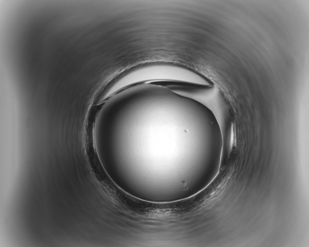 X0000096410252200801311358