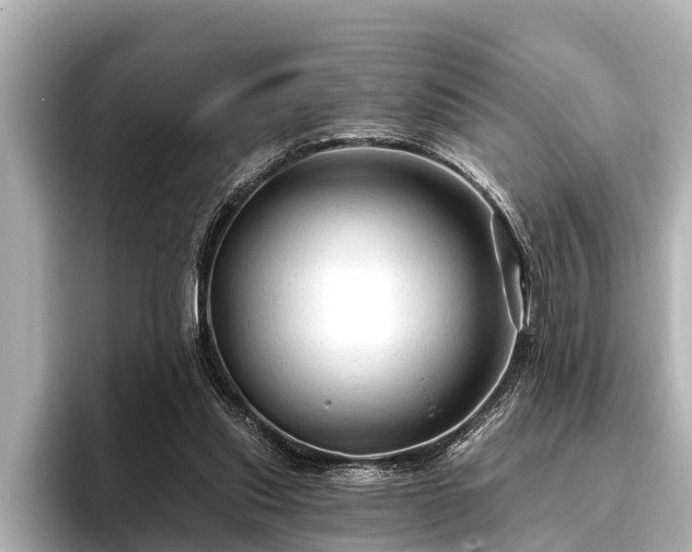 X0000096410253200801311358