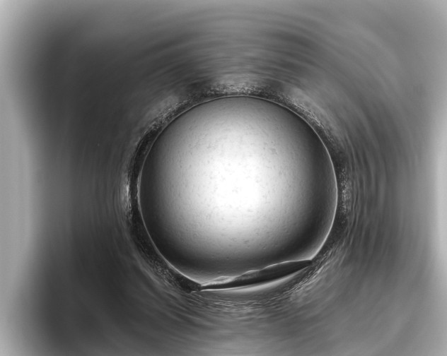 X0000096410254200801311358