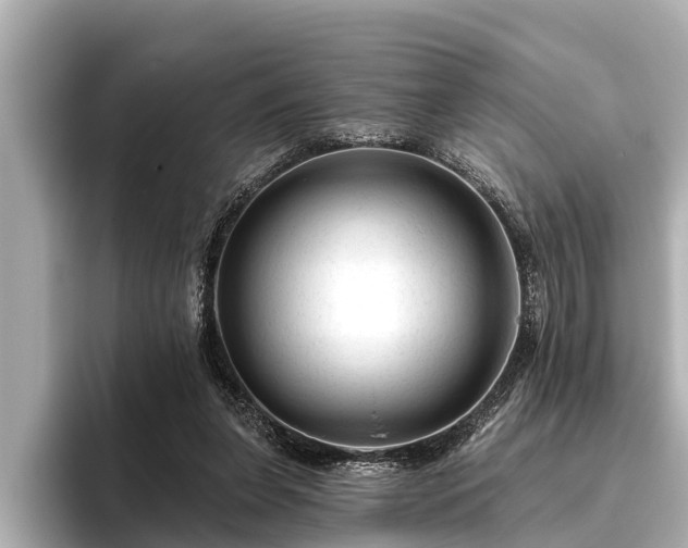 X0000096410255200801311358