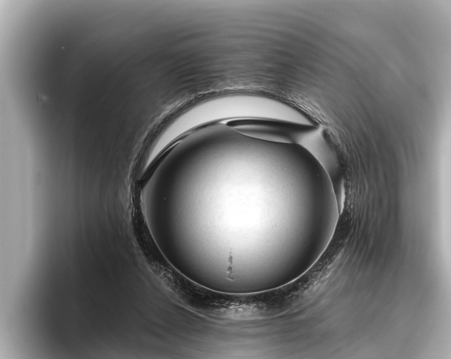 X0000096410256200801311358