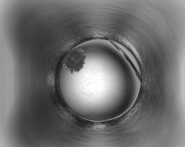 X0000096410257200801311358
