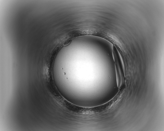 X0000096410258200801311358