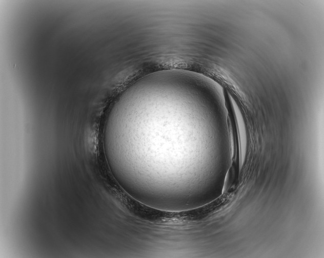 X0000096410259200801311358