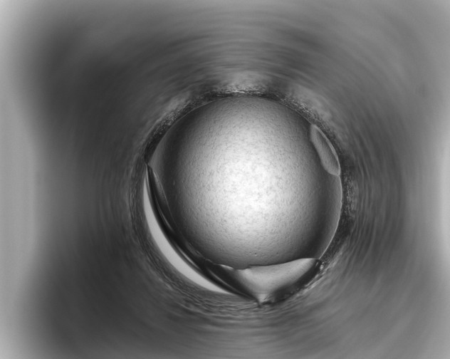 X0000096410260200801311358