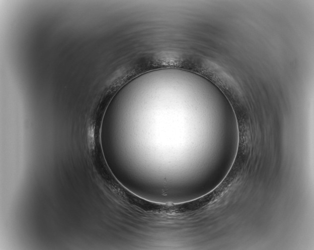 X0000096410262200801311358