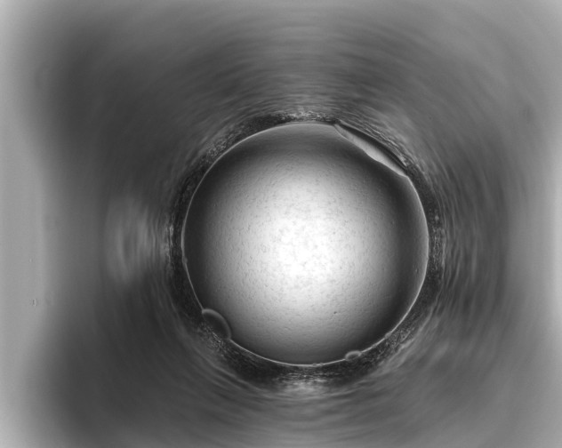 X0000096410263200801311358